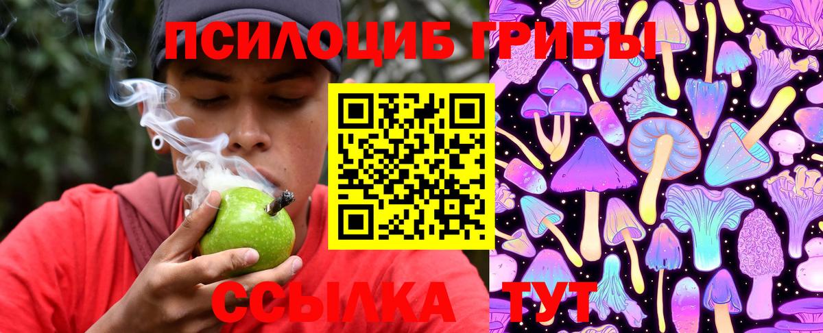 Галлюциногенные грибы прущие грибы Унеча