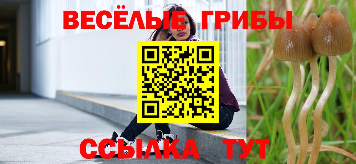 Галлюциногенные грибы Psilocybe  наркошоп  Унеча  Вход с VPN 
